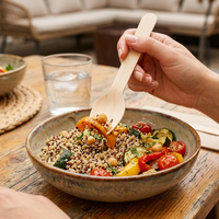 Cuillères-fourchettes jetables en bois pour aliments chauds, vaisselle écologique pour pique-nique, fête, restaurant