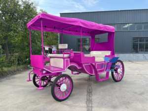 Véhicule de transport spécial Mariage royal Calèche à cheval Transport touristique Calèche à cheval - Product Image 4