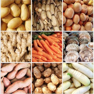 Machine commerciale de nettoyage de légumes de fruits pomme de terre gingembre carotte oignon fruits de mer rouleau <span class=keywords><strong>brosse</strong></span> nettoyage lavage ligne d'épluchage Machine - Product Image 2