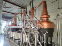 Équipement de distillation d'alcool Offres Spéciales Machine pour Whisky Rhum Gin Vodka Brandy Spirit Distiller Alcohol Distiller Factory