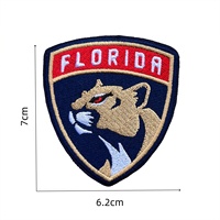 Écussons brodés avec logo de la Ligue Nationale de Hockey des États-Unis, à coudre sur les vêtements, les jeans, les vestes, les chapeaux, les badges