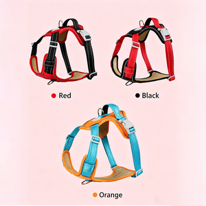 Cat vest type traction rope chest strap for going out Summer walking cat rope anti-relief cat chain supplies - Product Image 5