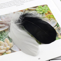 Plumes d'oie flottantes colorées DIY, directement du fabricant, pour boîte cadeau macaron rêveuse, garniture décorative, 100 pièces/paquet