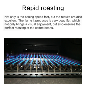 เครื่องบดเมล็ดกาแฟแบบยุโรปขนาด6กก. เครื่องบดอุตสาหกรรม30กก. 15กก. - Product Image 5