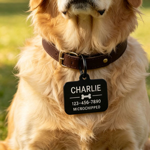 Prix de gros : Accessoires de collier modernes imitation antique pour chats et chiens, et plaques d'identification minimalistes vierges pour chiens, gravables avec nom et téléphone. - Product Image 3