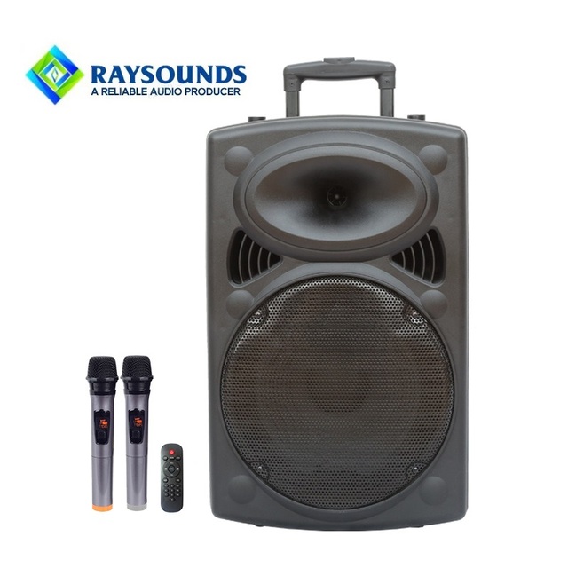 15 Inch 80W Rechargeable Trolley Speaker with 5-Band EQ, 12V DC External Input, Cinema DSP & Wireless Microphones for Outdoor