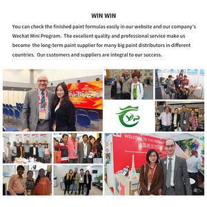 TS-62 गोल्डन ग्रीन कार पेंट मूल कार पेंट रंगीन सुपर चमक गिरगिट कार पेंट कीमत - Product Image 3