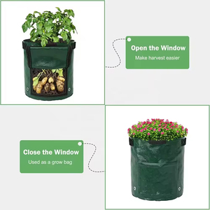 Pots de culture PE de <span class=keywords><strong>10</strong></span> gallons Sac de culture vert pour pommes de terre de jardin Légumes Carotte Oignon Tomate Planteur Sac - Product Image 5