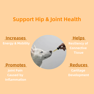 Integratore per la Mobilità Canina con Collagene e MSM, Spedizione Rapida - Product Image 3