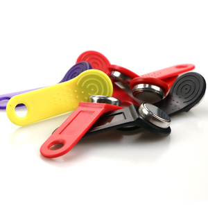 DALLAS rewritable TM iButton phím rw1990 Phím Trống - Product Image 4