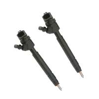 Inyector Diesel Common Rail de Alta Presión 0445110201 A6130700887 para Motor