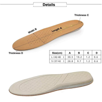Vente à chaud Coussinets pour chaussures Design classique Semelles confortables pour le sport Semelles antidérapantes multi-sport Vente en gros
