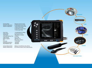 HC-A062V portable vétérinaire échographe portable <span class=keywords><strong>machine</strong></span> à ultrasons portable vétérinaire - Product Image 4