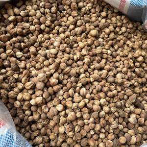 ลูกจันทน์เทศดิบอบแห้งสีขาวสำหรับอบแห้งแบบโฆษณา - Product Image 1