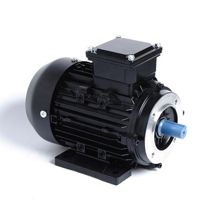 Motores de Inducción Asíncronos Trifásicos Pequeños de la Serie IE1, 380V, 0.5hp, 370W, 2 Polos - Product Image 3