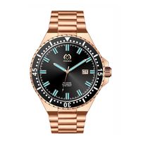 Montre personnalisée automatique en acier inoxydable, montre lumineuse en acier inoxydable pour la plongée, montre de plongée 20 ATM