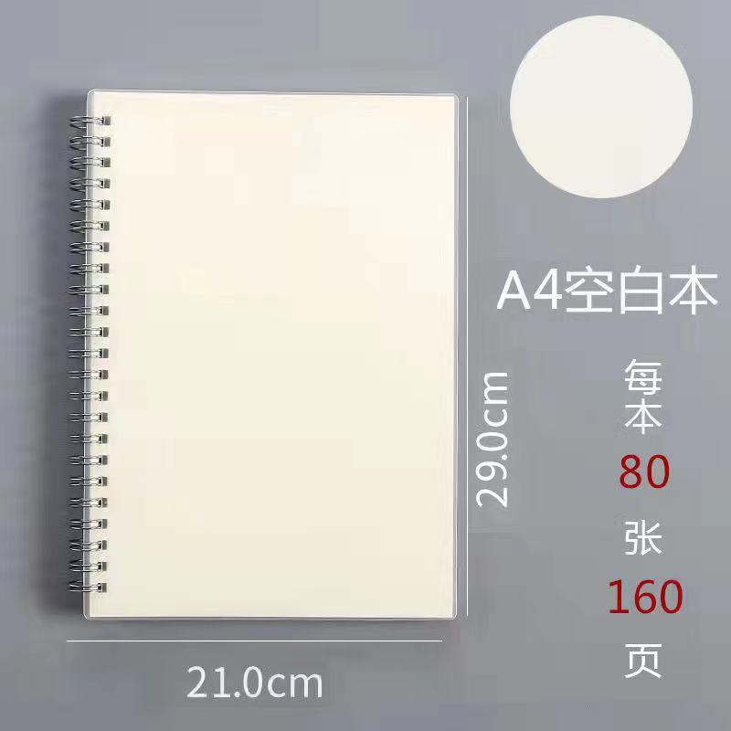 Rollover-a4 blank -80