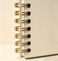 Cuaderno Espiral Kawaii Personalizado, Páginas Gruesas, Diario con Tapa Dura Personalizada para Niñas, Regalo para Tomar Notas Diarias