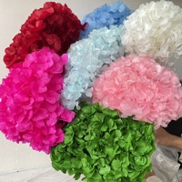 Hydrangea à grande feuille unique préservée, best-seller, éternelle, hortensia, hydrangea, boule brodée pour décoration de mariage