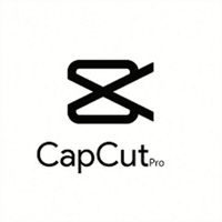 Capcut Pro Yazılım Lisansı Hesabı Video Düzenleme Aboneliği 1 Aylık