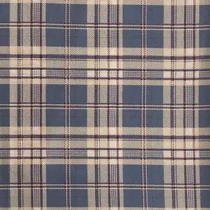 ISP Textile New product cotton yarn dyed checked out textile for shirt blue checks JK check pattern fabric