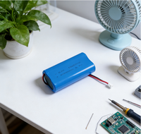 Pack de batteries personnalisé 18650 3.7V 7.4V 11.1V 3000mAh Lithium-Ion Cylindrique Cathode LiNiMnCoO2 Durée de vie 800 cycles 140g -15~65°C Usage domestique