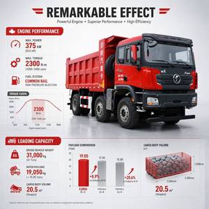 Nouveau <span class=keywords><strong>Camion</strong></span> Benne Shacman F3000 8x4 à Couple Élevé, Boîte de Vitesses FAST, Benne Basculante Haute Capacité à Conduite à Gauche pour l'Infrastructure Routière - Product Image 6