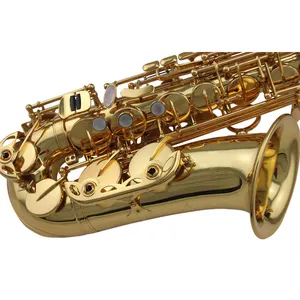 Kualitas tinggi kustom pengiriman cepat as2050 saksofon Baryton Bocal berlapis emas Alto Saxophone
