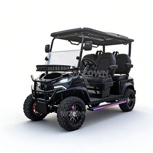 Carritos de golf eléctricos populares para 2 pasajeros, con batería de litio de 48V, tipo Club Car, para recepción de hotel, con posibilidad de personalizar el color. - Product Image 4