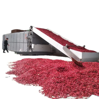 5-10 Ton Doorlopende Riem Droger Voor Chili Peper Specerijen Kruiden Verwerking Cashew Fruit Groente Droger Machine