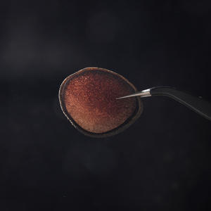 Comprimés de poudre rouge de bois de cerf en gros extrait d'animal de bétail pour la livraison directe - Product Image 3