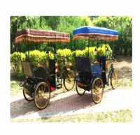 Tricycle électrique de tourisme urbain à 3 roues pour passagers, chariot de tourisme électrique, vélo cargo électrique