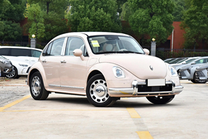 2025 Offre Spéciale femmes belle <span class=keywords><strong>ORA</strong></span> Ballet chat 401km édition Premium chine nouvelle énergie véhicule <span class=keywords><strong>ORA</strong></span> Ballet chat Mini Ev voiture - Product Image 2