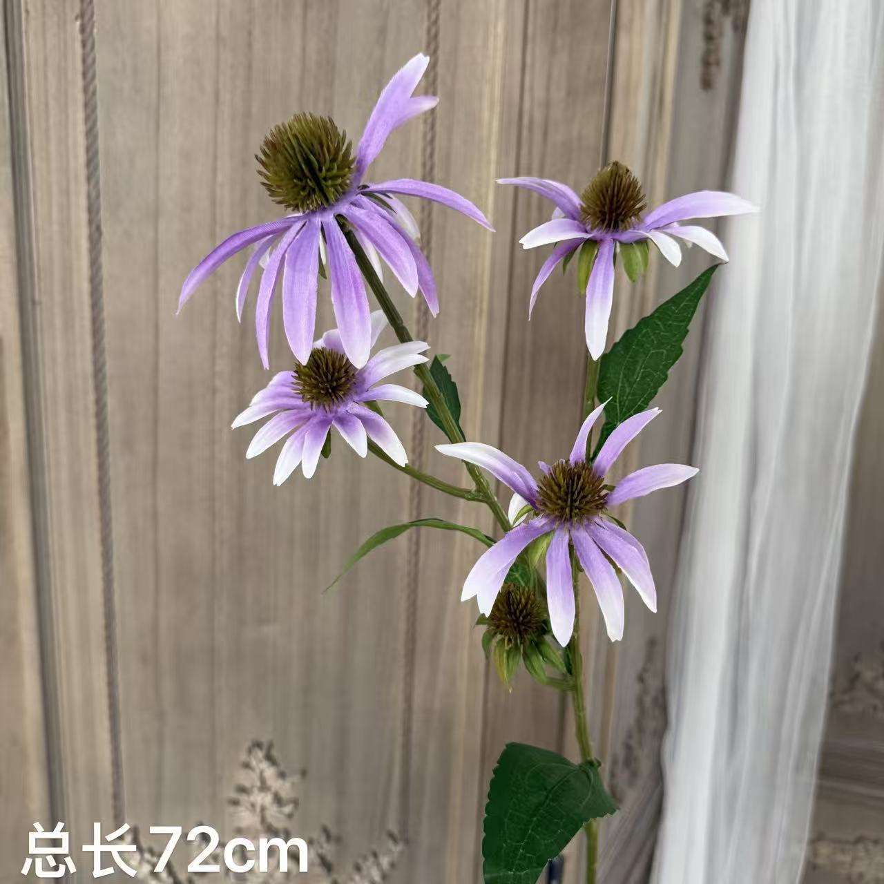 ดอกทานตะวันสีม่วง