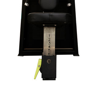 Máquina de gimnasio multifunción Elevación lateral Gimnasio Pin Selección de carga Prensa de hombro Máquina de elevación lateral Equipo de gimnasio - Product Image 5