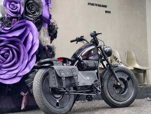 Feiwo HL Nuevo Scooter Eléctrico de Dos Ruedas de Alto Rendimiento, sin Escobillas, con Batería de Litio de 60 Ah Extraíble, Luces LED, Motor de 1500 W, Largo Alcance, Versión Completa HL - Product Image 4