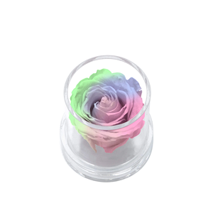 Lỗ duy nhất tùy chỉnh Acrylic Hộp Acrylic đẹp Rose Flower hộp tròn cho bảo quản hoa hồng - Product Image 3