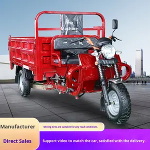 Véhicule domestique à trois roues à assistance électrique sous licence Moteur de déchargement de carburant à essence refroidi à l'eau Tricycles motorisés plats - Product Image 3