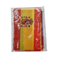 2026 Célébration Européenne Football String Drapeau Ensemble Polyester Personnalisé 24 Pays Euro Sport Événement String Bunting Drapeau