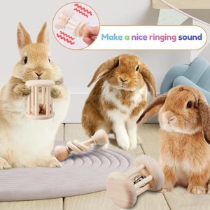 Juguete Masticable de Madera Maciza para Mascotas, 3 Piezas, para Entrenamiento y Limpieza Dental, OEM ODM, Logotipo Personalizado, Seguro para Conejos, Cobayas y Hámsteres - Product Image 1