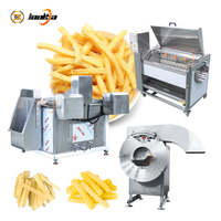 100kg/u 200kg/u Fabrieksprijs Semi-automatische productielijn voor Franse frietjes, gekrulde frietjes, frietmachine
