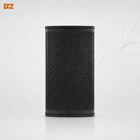 Haut-parleur de karaoké DJ professionnel 2 voies en titane de 10 pouces en MDF pour l'extérieur, la maison et les fêtes, avec subwoofer passif