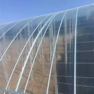 Produsen Grosir Rumah Kaca Plastik Film Pertanian Nilon PE Transparan Tinggi Dekorasi Rumah Kaca Sayuran