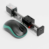 Mini rail linéaire à glissière, micro-guidage, actionneur trapézoïdal, moteur pas à pas, roulement en aluminium, course de 50-300 mm, capacité de charge de 3 kg