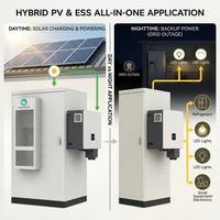 Batteria per Accumulo Energetico Industriale e Commerciale Inedge Power 50KW/100kWh LiFePO4, Sistema di Energia Solare per Microgrid