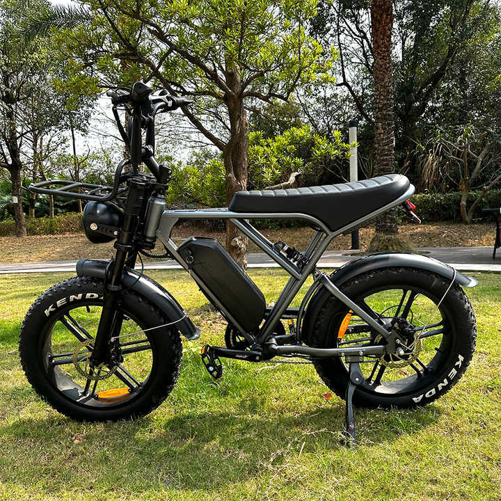 Curated visual reference: Local Ebike Reference: Fatbike Local Spot Factory V8 Electric Bike