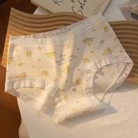 Culotte en soie élastique à taille moyenne pour femmes Culotte romantique en dentelle florale Taille unique Hipster Sous-vêtements pour femmes avec logo à la taille