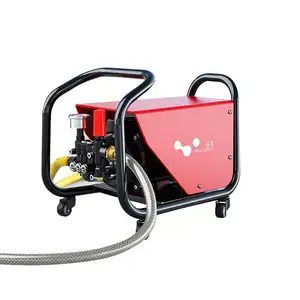 Yüksek kaliteli yüksek voltajlı ev 220V su pompası otomatik taşınabilir yüksek basınçlı araba çamaşır makinesi