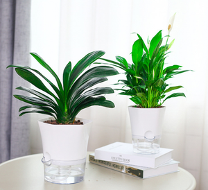 Macetas y Jardineras Autorregantes Visibles de <span class=keywords><strong>12</strong></span>.5/16.5 <span class=keywords><strong>cm</strong></span> con Indicador de Agua Transparente, <span class=keywords><strong>Maceta</strong></span> Autorregante de Plástico - Product Image 4