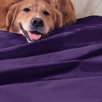 Couverture polaire anti-boulochage certifiée GRS en gros pour chaînes de supermarchés à prix réduits, douce et chaude, 100 % polyester, vente en gros